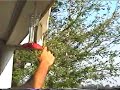 Hummingbirds landing on Son in Laws Finger! Hummingbirds landing on Son in Laws Finger!