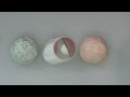Hanami Dango has three colors, Hanami dango is traditionally made during Sakura-viewing season. From the end of March to early May, sakura bloom all over Japan. Hanami means 