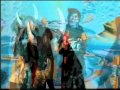 Mock Rock Napa Bad Romance - YouTube