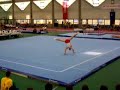 m. niess, uni stuttgart