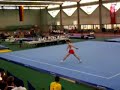 m. niess, uni stuttgart