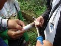 videos de film digester.wmv