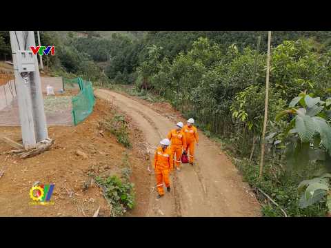 Ngành điện miền Bắc giữ vững dòng điện ngày Xuân và quyết tâm thực hiện nhiệm vụ năm 2026