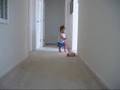 Our Fun and Noisy household