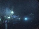 Manta Ray 2929