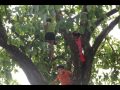 Ang kapit bahay kung astig Magnolia 2012 - YouTube