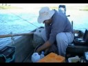 Fishing on the Lower Bow