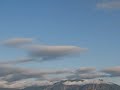 TREX 450 SE V2 flight 1st part