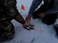 Ice Fishing In Kenosha! Northern Pike!