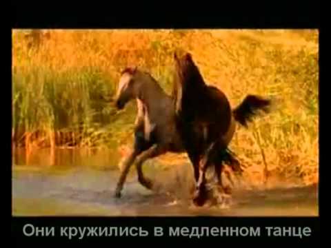 Спасибо за то что решили стать нашим читателем