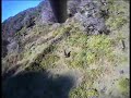 Deer Hunting Hellicopter shoot Deer Hunting Hellicopter shoot