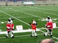 videos de Dancing Cows
