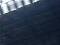 Brand-New-Sowing-Sea