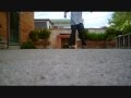 ~aCw~ Here I Am C-walk