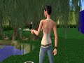 La Mort des Sims La Mort des Sims