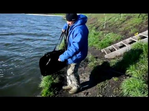 ловля карася белгород ловля карася белгород