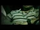 video izle