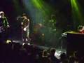 Charlatans - Misbegotten