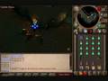 videos de Mangifera's Rock Lobster Barrage Guide