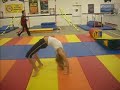 DSCN0796.MOV