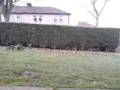 MTA4 drive around garden