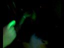Subform party 2008