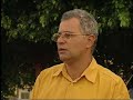 Estilosantes na avicultura