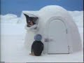 Pingu Postar(�versatt av Kelda)
