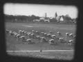 1936 Spring Training-Rogers Hornsby