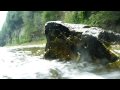 [HD] Elora Gorge Ontario - Relaxing Piano Music
