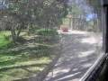 videos de TIGRES EN AFRICAM