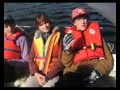 videos voile