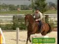 Horses; She\