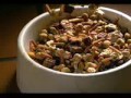 Dog food commercial Dog food commercial