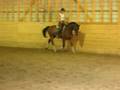 Wili 08-19-08 lesson