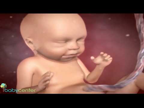 Image de prévisualisation YouTube