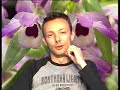 websendung - Anhalterin - Witz websendung - Anhalterin - Witz