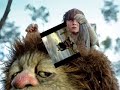 Where The Wild Things Are Book Online