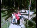 First Timer in Kawasan Falls First Timer in Kawasan Falls