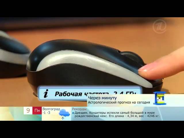 Как выбрать компьютерную мышь. Какую компьютерную мышь лучше купить.