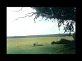 Contactos Extraterrestres (2)