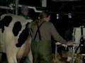 videos de Ecografía Veterinaria - Cortes del Feto www.jairoserrano.com