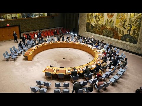 Ukrainekrise im UN-Sicherheitsrat - USA erhöhen Druck, Russland fordert Sicherheitsgarantien