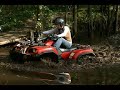 ATV Polska Integracja