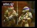 Tartarugas X0 - Além de Mim Tartarugas X0 - Além de Mim