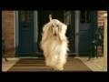 videos de Philipsjawdropper.mpg