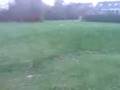 videos de Tommys Specter in Action.3GP