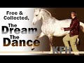 Hempfling - When the Horse Seeks Us - About KFH and his unique way