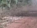 Carreta grande