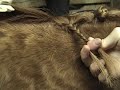 Button Braiding Button Braiding